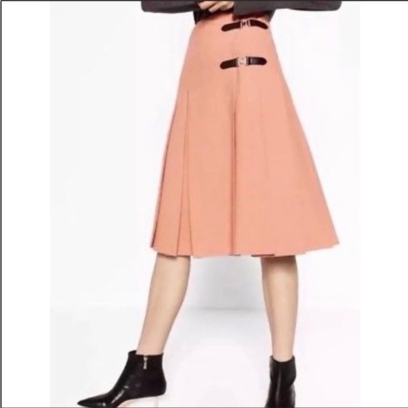 Zara pleated skirt - Picture 2 of 4